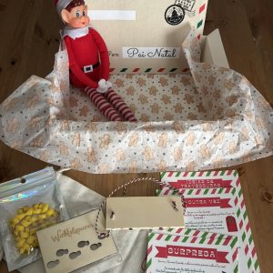 Duende na Prateleira 2025